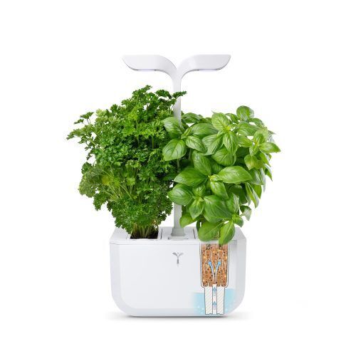 <br /><hr><br /><p><strong>Exky® CLASSIC</strong> е най-малката и най-ефективна интелигентна закрита градина, която ви позволява да отглеждате без усилие билки, подправки и зеленчуци във вашата кухня. <br />Тя самостоятелно се грижи за вашите растения, за да можете да имате ароматна здравословна храна през цялата година.<br /> Нейният ултра компактен и елегантен дизайн я прави чудесна за  всички кухни. <br /> Благодарение на своята технология, растенията в EXKY растат 3 пъти по-бързо, отколкото сред природата!<br /><br /><br /> Комбинацията от високоефективни светодиоди и специфичен светлинен спектър, гарантира по-бърз растеж на растенията.<br /> <strong>EXKY</strong> има автоматизиран дневен и нощен цикъл - включва се за 16 часа и се изключва за 8 часа. <br />Светлинният стълб се регулира по височина с плавно плъзгане, за да се адаптира към височината на вашите растения. <br /><br /><strong>Lingot® </strong>е патентован екологичен пълнител за лесно отглеждане на растения.<br /> <strong>Без ГМО</strong>, <strong>без пестициди</strong>, естественият субстрат  съдържа предварително засети органични семена и хранителни вещества. Неговата гъбеста структура оптимизира аерацията на корените и контрола на влажността. <br />Всеки <strong>Lingot®</strong> има живот до 6 месеца, осигурявайки средно по една реколта на седмица. <br /><br /> <strong>АВТОМАТИЧНО ПОЛИВАНЕ:</strong><br /><strong>Exky®</strong> има вграден резервоар за вода, който подсигурява напояване до 3 седмици.<br /> Автоматичното поливане е напълно безшумно благодарение на пасивната си хидропонна технология. <br />Зареждането на резервоара за вода е лесно, а мигащата аларма ви предупреждава за нивото на водата и  предпазва от преливане.</p><p> </p><p><img src="{{media url="/Untitled-1_3.jpg"}}" alt="" width="600" /></p><p> </p><p> </p><p><object width="620" height="350" data="https://www.youtube.com/v/i8vqZuvlP9Q" type="application/x-shockwave-flash"><param name="data" value="https://www.youtube.com/v/i8vqZuvlP9Q" /><param name="src" value="https://www.youtube.com/v/i8vqZuvlP9Q" /></object></p>