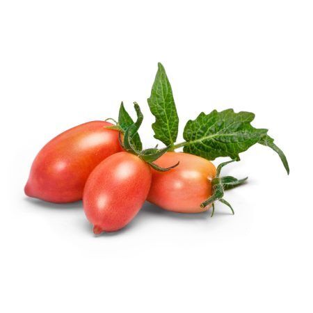 <p><strong>VERITABLE Lingot® Pink Mini-Tomato - Розови Мини Домати</strong><br /><strong>• Покълване: </strong>1 седмица<br /><strong>• Първа реколта: </strong>6-8 седмици<br /><strong>• Реколта:</strong> 4-5 мес. <br /><strong>• Органични семена<br /></strong><strong>• 100 % биоразградим<br /></strong><strong>• 100 % компостируем<br /></strong><strong>• Състав: 70% кокосов торф; 30% торф; тор; семена;<br /></strong><strong>• НЕ СЪДЪРЖА ПЕСТИЦИДИ!<br /></strong><strong>• НЕ СЪДЪРЖА ГМО!<br /></strong><strong>За употреба с домашни градини VERITABLE®<br /></strong><strong>Производител: VERITABLE® / Франция<br /></strong><strong>Инструкции за отглеждане:</strong> <span style="color: #ff0000;">(Виж. ПРИКАЧЕНИ ФАЙЛОВЕ)</span></p><br />Марка: VERITABLE <br />Модел: VLIN-L5-Tom052<br />Доставка: 2-4 работни дни<br />Гаранция: 2 години