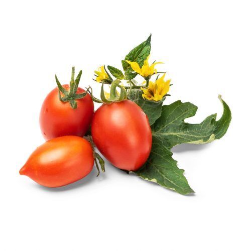 <p><strong>VERITABLE Lingot® Red Cherry Tomato - Червени Чери Домати</strong><br /><strong>• Покълване: </strong>1 седмица<br /><strong>• Първа реколта: </strong>2-3 месеца<br /><strong>• Реколта:</strong> 1-2 мес. <br /><strong>• Органични семена<br /></strong><strong>• 100 % биоразградим<br /></strong><strong>• 100 % компостируем<br /></strong><strong>• Състав: 70% кокосов торф; 30% торф; тор; семена;<br /></strong><strong>• НЕ СЪДЪРЖА ПЕСТИЦИДИ!<br /></strong><strong>• НЕ СЪДЪРЖА ГМО!<br /></strong><strong>За употреба с домашни градини VERITABLE®<br /></strong><strong>Производител: VERITABLE® / Франция<br /></strong><strong>Инструкции за отглеждане:</strong> <span style="color: #ff0000;">(Виж. ПРИКАЧЕНИ ФАЙЛОВЕ)</span></p><br />Марка: VERITABLE <br />Модел: VLIN-L5-Tom016<br />Доставка: 2-4 работни дни<br />Гаранция: 2 години