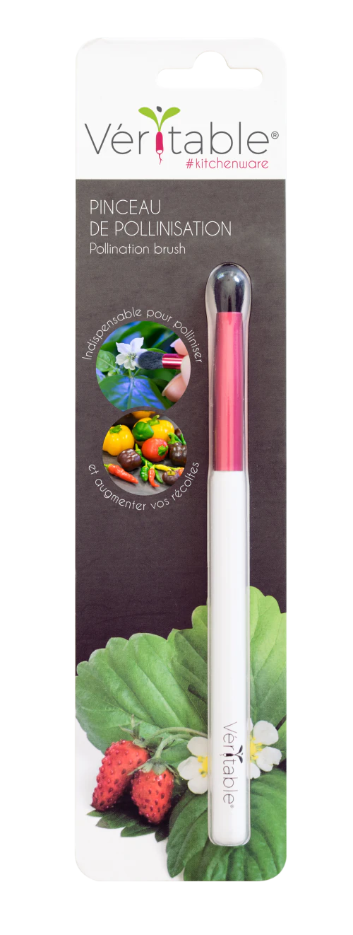 <br /><hr><br /><p>Този задължителен инструмент е полезен за ръчно опрашване на горски ягоди, мини чушки и др зеленчуци и плодове. <br />Четката за опрашване Veritable® ви позволява да опрашвате цветовете на вашите Lingots®  плодове и зеленчуци като диви ягоди, мини чушки и др. <br />Отглеждането на открито изисква намесата на насекоми или вятър, отглеждането на закрито изисква човешка намеса. <br /> Тази четка за опрашване е идеална за  вашите растения: нейната фин и мека косъм и нейният диаметър са перфектно адаптирани към тази функция. <br />Какво е опрашването? <br />Това е оплождането на цветето за получаване на плодове и зеленчуци. За това прашецът на тичинките (мъжки части) трябва да влезе в контакт с плодника (женска част). <br />Някои сортове растения имат както мъжки, така и женски части в рамките на едно и също цвете, като ягоди, домати, чушки, чили.<br /> В природата тази стъпка се извършва от пчели и други опрашващи насекоми.<br /> На закрито, недостатъчният въздушен поток и отсъствието на насекоми не позволяват оплождането на цветята. <br />Затова опрашването трябва да се извърши ръчно, когато растението е в процес на цъфтеж. <br /> Как да опрашвам с четката за опрашване Veritable®? <br />С помощта на четката за опрашване Veritable® внимателно почистете вътрешността на всяко цвете, за да пренесете прашеца в плодника.<br /> Избършете четката между всеки растителен вид, за да избегнете кръстосано опрашване. <br />Правете го с деликатни жестове, защото цветята са особено крехки.</p>