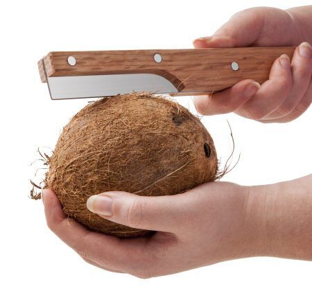 <p><strong>Нож за кокосов орех</strong></p>
<p><span>• Размер: 9,5 x 31,5 x 2,2 cm</span><br /><span>• Тегло:0,210 кг. </span><br /><span>• Материал: Неръждаема стомана; дърво</span><br /><strong>Производител: TOMORROW`S KITCHEN / Холандия</strong><br /><br /></p><br />Марка: TOMORROW`S KITCHEN <br />Модел: TK 4653560<br />Доставка: 2-4 работни дни<br />Гаранция: 2 години