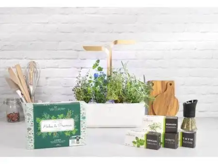 <p><strong>VERITABLE Подаръчен сет “HERBES DE PROVENCE“ с 4 бр. пълнители Lingot® и мелничка</strong><br /><strong>• Комплектът съдържа:</strong><br /><strong> - </strong><a title="мащерка" href="https://www.vip-giftshop.com/lingotr-thyme-organic-mascherka.html" target="_blank">Мащерка</a><strong><br /></strong> - <a title="риган" href="https://www.vip-giftshop.com/lingotr-oregano-organic-rigan.html" target="_blank">Риган</a><br /><strong> - </strong><a title="розмарин" href="https://www.vip-giftshop.com/lingotr-rosemary-rozmarin.html" target="_blank">Розмарин</a><strong><br /></strong> - <a title="чубрица" href="https://www.vip-giftshop.com/lingotr-savory-organic-chubrica.html" target="_blank">Чубрица</a><br /> - Мелничка <strong>CrushGrind Véritable® </strong><br /><strong>• Органични семена<br /></strong><strong>• 100 % биоразградим<br /></strong><strong>• 100 % компостируем<br /></strong><strong>• Състав: 70% кокосов торф; 30% торф; тор; семена;<br /></strong><strong>• НЕ СЪДЪРЖА ПЕСТИЦИДИ!<br /></strong><strong>• НЕ СЪДЪРЖА ГМО!<br /></strong><strong>За употреба с домашни градини VERITABLE®<br /></strong><strong>Производител: VERITABLE® / Франция<br /></strong><strong>Инструкции за отглеждане:</strong> <span style="color: #ff0000;">(Виж. ПРИКАЧЕНИ ФАЙЛОВЕ)</span></p><br />Марка: VERITABLE <br />Модел: KIT-HERPLING-EU-72<br />Доставка: 2-4 работни дни<br />Гаранция: 2 години