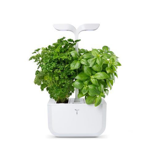 Домашна градина EXKY® CLASSIC GARDEN – цвят бял