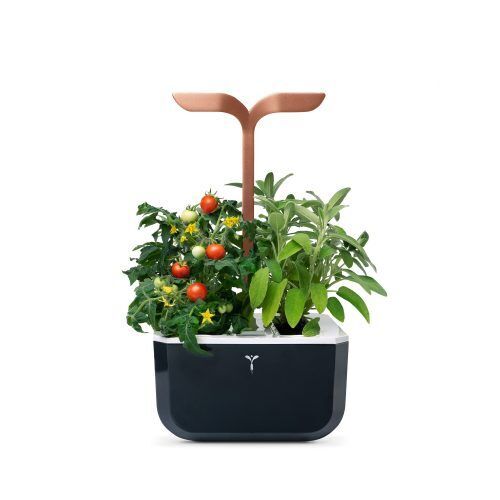Домашна градина EXKY® SMART GARDEN – цвят черен/мед
