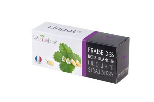 <p><strong>VERITABLE Lingot® White Wild Strawberry - Бели диви Ягоди</strong><br /><strong>• Покълване: </strong><span>2 седмици</span><br /><strong>• Първа реколта: </strong><span>3 месец</span><br /><strong>• Реколта:</strong><span> 2-4 мес. </span><br /><strong>• Органични семена<br /></strong><strong>• 100 % биоразградим<br /></strong><strong>• 100 % компостируем<br /></strong><strong>• Състав: 70% кокосов торф; 30% торф; тор; семена;<br /></strong><strong>• НЕ СЪДЪРЖА ПЕСТИЦИДИ!<br /></strong><strong>• НЕ СЪДЪРЖА ГМО!<br /></strong><strong>За употреба с домашни градини VERITABLE®<br /></strong><strong>Производител: VERITABLE® / Франция<br /></strong><strong>Инструкции за отглеждане:</strong><span> </span><span style="color: #ff0000;">(Виж. ПРИКАЧЕНИ ФАЙЛОВЕ)</span></p><br />Марка: VERITABLE <br />Модел: VLIN-P5-Fra039<br />Доставка: 2-4 работни дни<br />Гаранция: 2 години