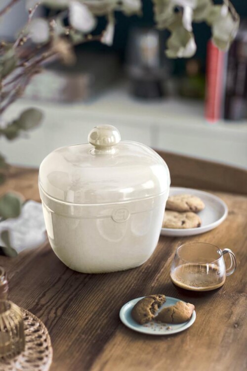 <p><span style="color: #000000;"><strong>EMILE HENRY Канистер за бисквити "COOKIE JAR"</strong></span><br /><span style="color: #000000;">• <strong>Ръчно изработена от 100% естествени материали<br />• Устойчива на температури: </strong>- 20º С до + 270º С<strong><br />• Висока устойчивост на надраскване <br /></strong>• </span><strong><span style="color: #000000;">Материал: </span> <span style="color: #ff0000;">HR® Ceramic (High Resistance) <span style="color: #000000;">/</span></span></strong><span style="color: #ff0000;"><span style="color: #000000;"> Високо устойчива керамика</span></span><strong><span style="color: #ff0000;"><span style="color: #000000;"> / </span><br /><span style="color: #000000;">• Без съдържание на олово, кадмий и никел</span><br /><span style="color: #000000;">• Външен размер вкл.дръжките: </span></span></strong><span style="color: #ff0000;"><span style="color: #000000;">21 х 19 х 25 см</span></span><span style="color: #ff0000;"><br /><strong><span style="color: #000000;">• Вътрешен размер: </span></strong><span style="color: #000000;">18 х 16 х 13 см<br /></span></span><span style="color: #ff0000;"><span style="color: #000000;">• <strong>Вместимост:</strong> 2,45 литра</span><br /><span style="color: #000000;"><strong>• Тегло: </strong>2,68 кг</span><br /><span style="color: #000000;">• <strong>Цвят: </strong>екрю<br /><strong>• Размер на опаковката: </strong>21,5 х 21,5 х 21 см<br /><strong> • Тегло с опаковката: </strong>3,07 кг</span><br /><span style="color: #000000;">• <strong>Подходящ за: </strong>съдомиялна машина</span><br /><strong><span style="color: #000000;">Производител: EMILE HENRY / Франция</span></strong></span></p><br />Марка: Emile Henry <br />Модел: EH 8755-02<br />Доставка: 2-4 работни дни<br />Гаранция: 2 години