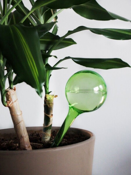 240 мл.- зелени