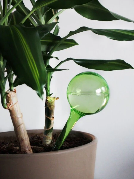 240 мл.- зелени