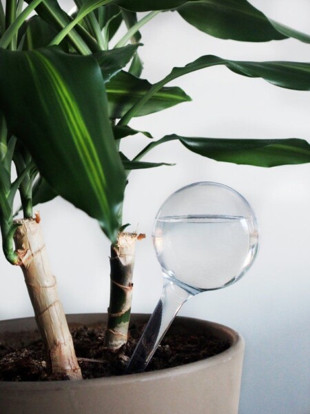 240 мл. - прозрачни