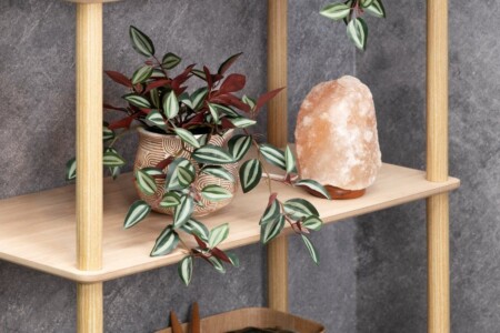 <p><strong><span>4LIVING Лампа от хималайска сол </span></strong><br />• <strong>Материал: </strong>хималайска сол, основа от акациево дърво<br /><strong>• Тегло на солния кристал</strong>: 2 - 3 кг<br />• <strong>Размери на лампата: </strong>12,5 x 12,5 x 20 см<br />•<strong> Със сменяема крушка тип E14 <br />• 15 W, 230 V<br />• Тегло: </strong>2,4 кг<strong><br /></strong><strong>Производител: Tammer Brands/ Финландия</strong><strong></strong></p><br />Марка: 4LIVING <br />Модел: TB 4Living 216212<br />Доставка: 2-4 работни дни<br />Гаранция: 2 години