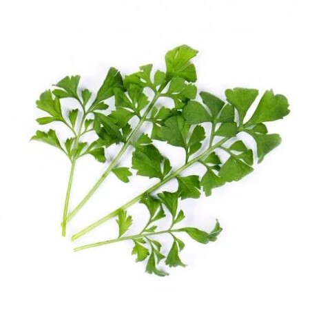 <p><strong>VERITABLE Lingot® Garden cress Organic - Градински Кресон</strong><br /><strong>• Покълване: </strong><span>1 седмица</span><br /><strong>• Първа реколта: </strong><span>3-4 седмици</span><br /><strong>• Реколта:</strong><span> 2-3 мес. </span><br /><strong>• Органични семена<br /></strong><strong>• 100 % биоразградим<br /></strong><strong>• 100 % компостируем<br /></strong><strong>• Състав: 70% кокосов торф; 30% торф; тор; семена;<br /></strong><strong>• НЕ СЪДЪРЖА ПЕСТИЦИДИ!<br /></strong><strong>• НЕ СЪДЪРЖА ГМО!<br /></strong><strong>За употреба с домашни градини VERITABLE®<br /></strong><strong>Производител: VERITABLE® / Франция<br /></strong><strong>Инструкции за отглеждане:</strong><span> </span><span style="color: #ff0000;">(Виж. ПРИКАЧЕНИ ФАЙЛОВЕ)</span></p><br />Марка: VERITABLE <br />Модел: VLIN-J10-Cre024<br />Доставка: 2-4 работни дни<br />Гаранция: 2 години