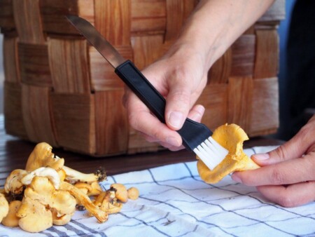 <p><strong>MARJUKKA Нож за гъби с четка - черен</strong><br /><strong>• Материал:</strong><span> стомана, полипропилен<br /></span><strong>• Размери:</strong><span> 3 х 19 см.<br /></span><strong>• Размер на опаковката: </strong><span>9,2 х 1 х 25 см</span><br /><strong>• Тегло: </strong><span>0,025 кг.<br /><strong>• Цвят на дръжката:</strong> черен<br /><strong>• Не е подходящ за съдомиялна машина<br /></strong></span><strong>Производител: Tammer Brands/ Финландия</strong></p><br />Марка: MARJUKKA <br />Модел: TB Marjukka 18220 B<br />Доставка: 2-4 работни дни<br />Гаранция: 2 години