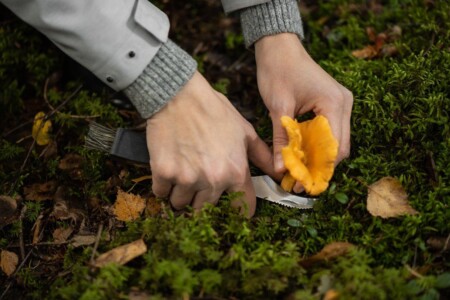 <p><strong>MARJUKKA Сгъваем извит нож за гъби с дървена дръжка и четка</strong><br /><strong>• Материал:</strong><span> стомана, розово дърво<br /><strong>• Четка от естествен косъм</strong><br /></span><strong>• Размери:</strong><span> 3 х 13,5 х 2 см. см.<br /></span><strong>• Размер на опаковката: </strong><span>4,5 х 2,5 х 17 см</span><br /><strong>• Тегло: </strong><span>0,110 кг.<br /><strong>• Не е подходящ за съдомиялна машина<br /></strong></span><strong>Производител: Tammer Brands/ Финландия</strong></p><br />Марка: MARJUKKA <br />Модел: TB Marjukka 606929<br />Доставка: 2-4 работни дни<br />Гаранция: 2 години